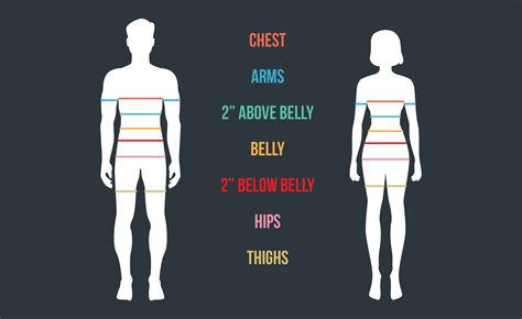  B. Myers' Physique and Body Metrics 