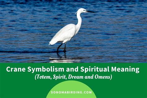  Crane as a Potent Symbol in Dreams 