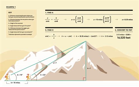  Details About Her Years on Earth and How Far Her Elevation Reaches 