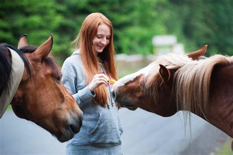  Embracing the Journey: Cultivating a Lasting Connection with Your New Equine Companion 