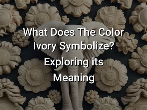  Empowering Dreams: The Transformative Symbolism of Ivory Draperies
