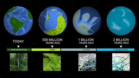  Insights into Lisa's Years on Earth 