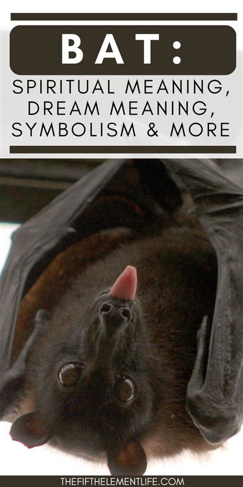  Interpreting the Symbolism in Nocturnal Bat Encounters 