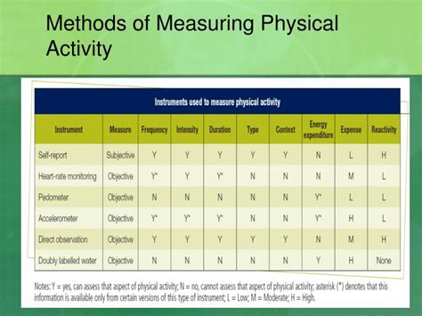  Lacey Bae's Vertical Measurement, Physical Form, and Fitness Voyage 