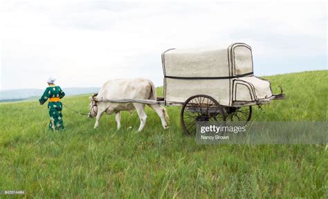  Rediscover the Simplicity and Charm of Traditional Nomadic Wagons 