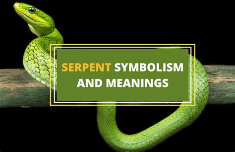  Symbolism of Serpents in Dreams: a Thorough Guide 