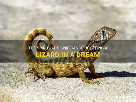  The Significance of a Lizard Pursuing Me in a Dream 