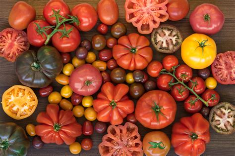  Tomato Varieties 101: Exploring the Endless Options of Flavorful Delights 