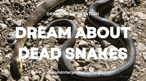  Unraveling the Significance of Dog-Snake Dreams: Delving into Personal Experiences 