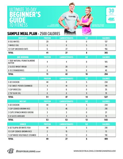 3B. Fitness routine and diet plan