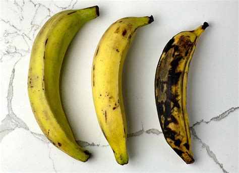 A Brief History: The Journey of Plantains from Africa to Your Plate