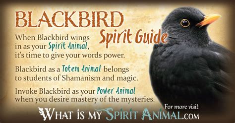 A Closer Look at the Blackbird: Traits and Symbolism in Dreams