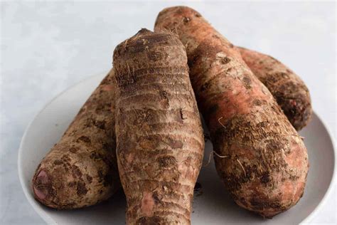 A Comprehensive Guide to Various Types of Cocoyam