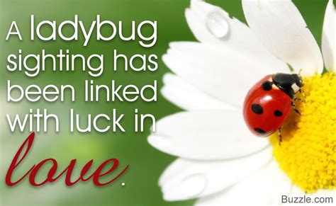 A Dash of Luck: Exploring the Superstitious Beliefs Associated with Having a Ladybug in the Oral Cavity