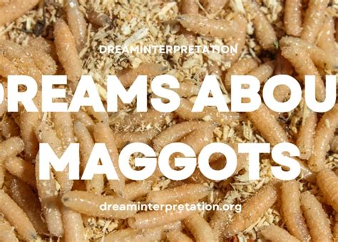 A Deeper Exploration of the Symbolic Meaning of Maggots in Dreamscapes