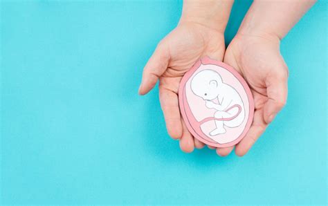 A Guide to Decoding Dreams of the Unborn: Understanding the Symbolism of the Baby Fetus