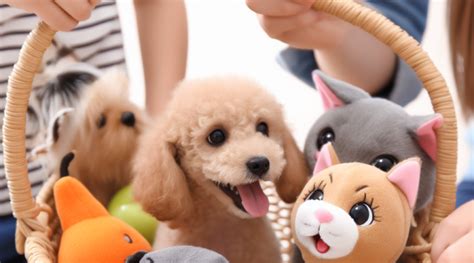 A Guide to Selecting the Perfect Furry Companion to Suit Your Lifestyle