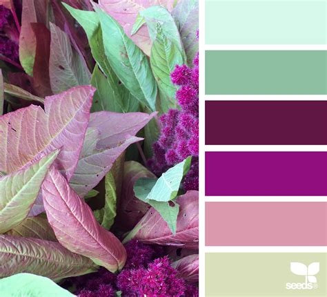 A Journey into Nature's Color Palette: The Lively Hues of Green Leaves