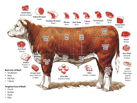 A Journey through Time: Exploring the Historical Significance of Beef in Various Cuisines