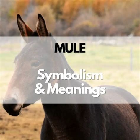 A Journey through the Symbolic Meanings of the Mule in Literature