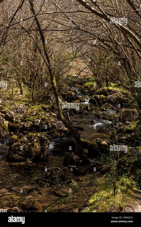 A Journey to Tranquility: Exploring the Splendor of Untouched Waterways