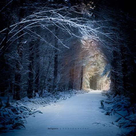 A Magical Winter Journey: Exploring the Enchanting Beauty