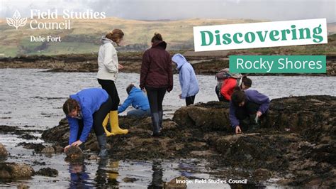 A Paradise for Nature Enthusiasts: Discovering the Wonders of Rocky Shores