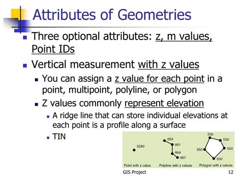 A Physical Attribute: Vertical Measurement