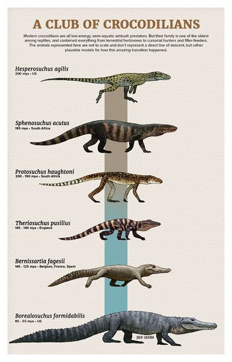 A Prehistoric Throwback: Snakes and Crocodiles' Shared Evolutionary History