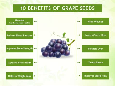 A Promising Tomorrow: Exploring Grape Seeds and their Potential Healthy Advantages