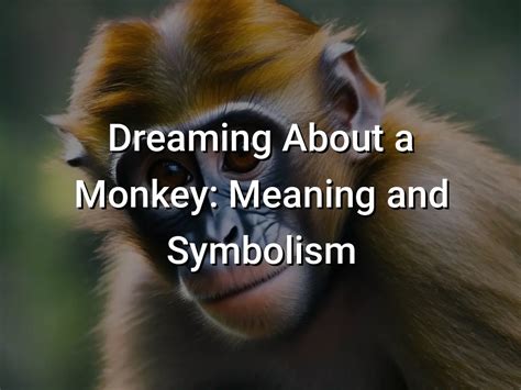 A Reflection of Emotions and Relationships: Exploring the Symbolism Behind Dreaming of a Monkey's Demise