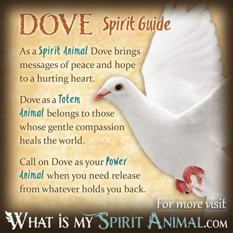 A Sojourn into the Symbolic Significance of Dove Reveries