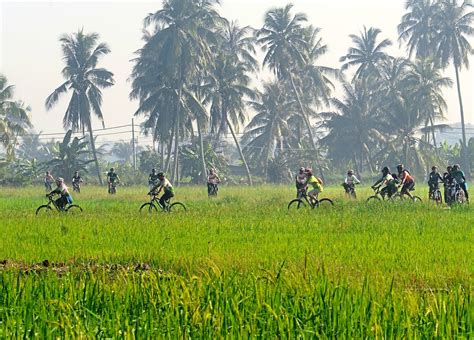 A Sunlit Journey: Embracing Nature's Beauty on Two Wheels