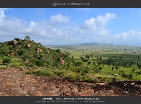 A Window into the Unspoiled Wilderness: African Safari Adventures