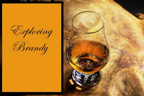 A brief overview of Brandy Wine's life and career