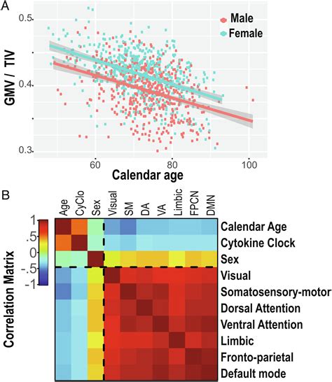 About Jamie Pepper's Chronological Age