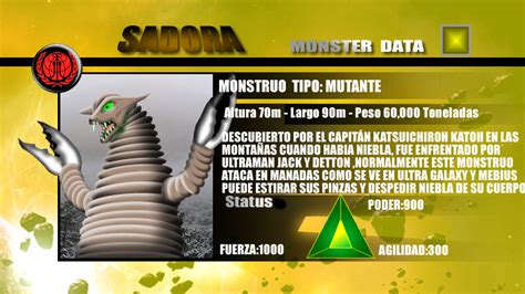 Accomplishments and Financial Status of Vida Sadora