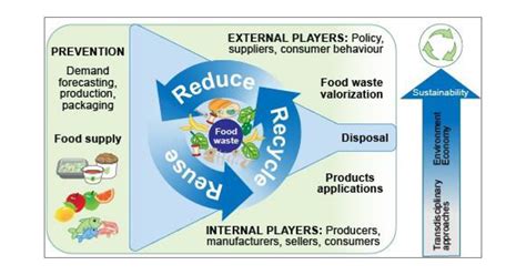 Addressing Food Inadequacy: Harnessing the Potential of Food Surplus