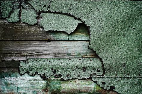 Aesthetically Pleasing: Uncovering the Beauty in Weathered Wood and Cracked Paint