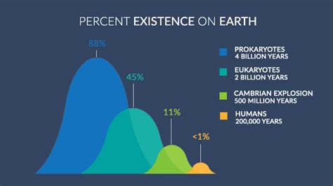 Age: How many years has Heavy Handfuls been on this earth?