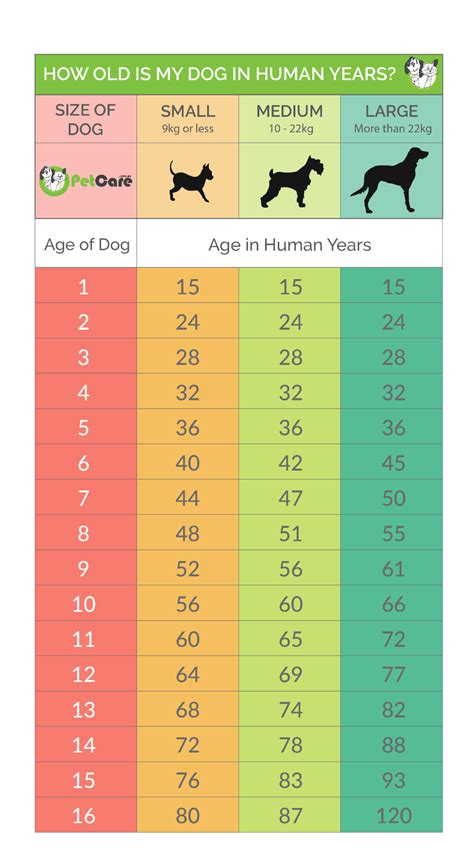 Age: How many years has MihaNika69 lived?