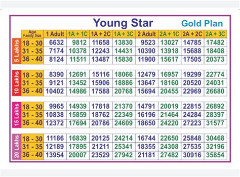 Age Insights of Young Star