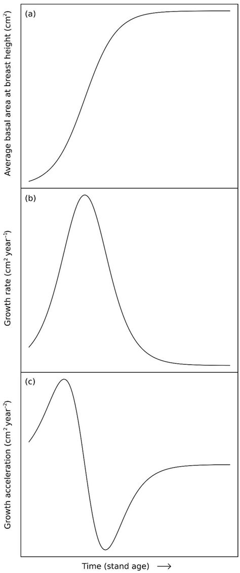 Age and Height Details of Axis Evol