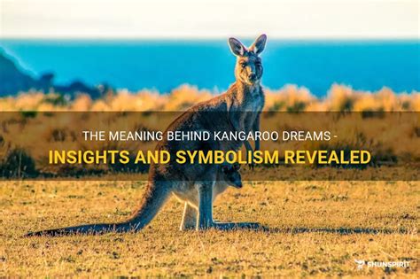 Alternative Perspectives on the Meaning Behind Kangaroo Dream Experiences