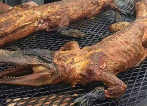 Amazing Health Benefits of Alligator Meat: Astonishing Facts Unveiled