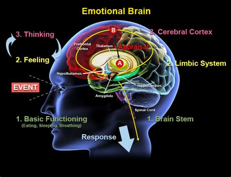 An Emotional Connection to Our Surroundings