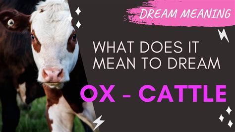 An Exploration of the Symbolic Significance of Cattle in Dreams