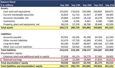 An estimate of her financial standing and earnings