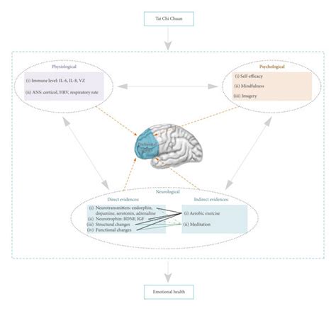 An exploration of the profound significance and multifaceted consequences of psychological and neurological connections