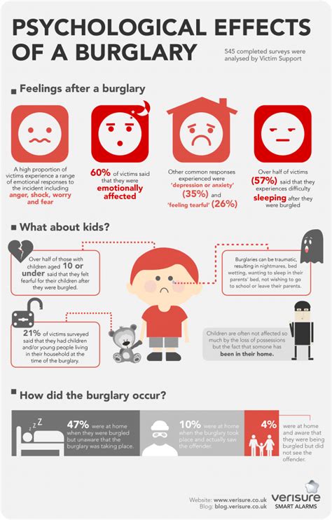 Analyze the Details: Decoding the Circumstances of the Burglary Vision